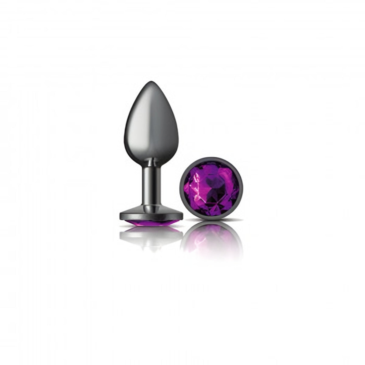 Cheeky Charms Purple/Gunmetal Plug