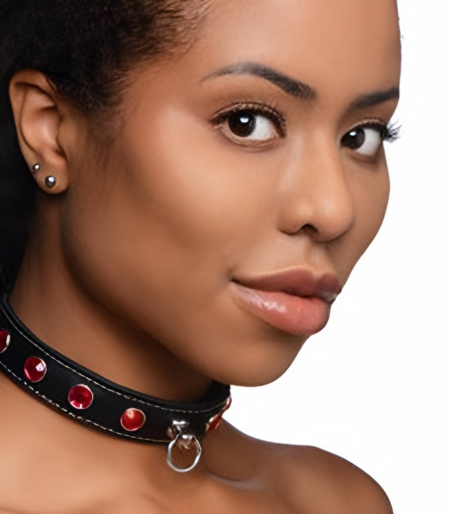 Master Series Firece Vixen Collar Red