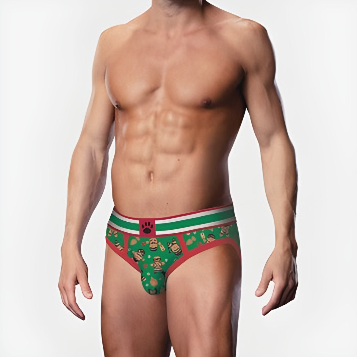 Gingerbread Brief