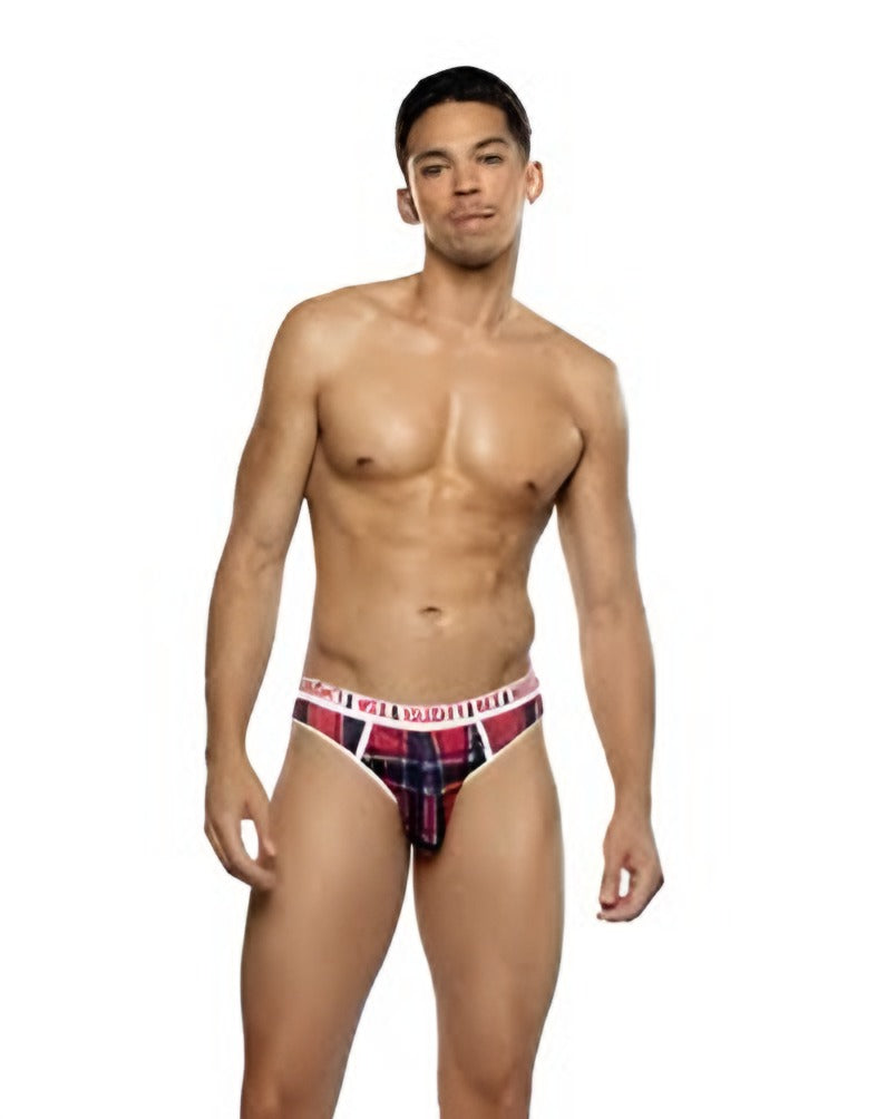 Naughty & Nice Brief