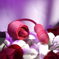 Evolved Wild Rose