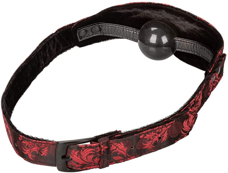 SCANDAL HIDDEN PLEASURE BALL GAG - Image 3