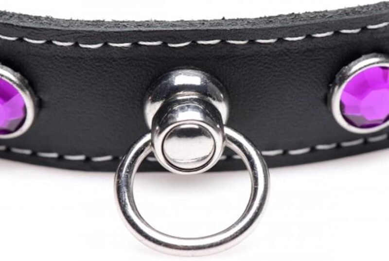 MASTER SERIES LEATHER COLLAR PPL - Image 9