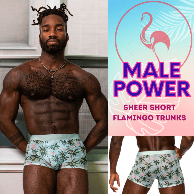 SHEER SHORT FLAMINGO - Image 9