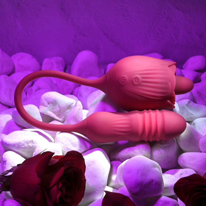 EVOLVED WILD ROSE - Image 9